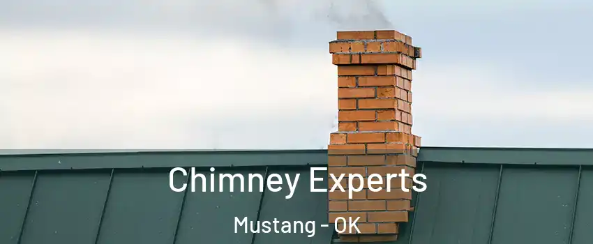 Chimney Experts Mustang - OK